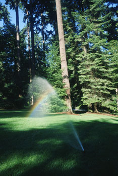 Sprinklers